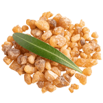 Boswellia Serrata for cartilage protection